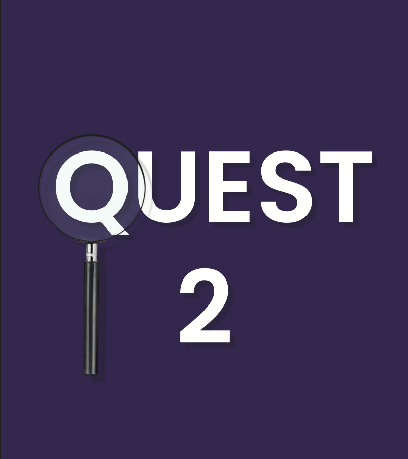 PHA QUEST 2 | On Demand