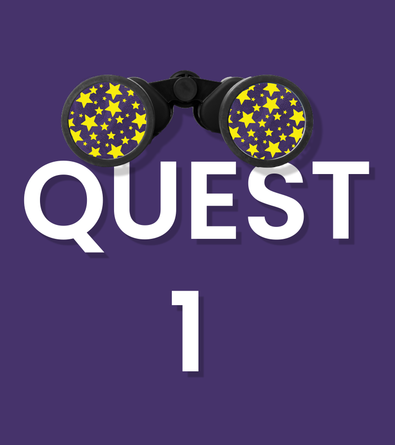 PHCD QUEST 1 | On Demand